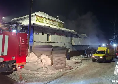 Пятеро подростков погибли в Кузбассе при пожаре в сауне