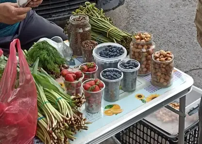 В Красноярске на прилавках появилась ранняя жимолость