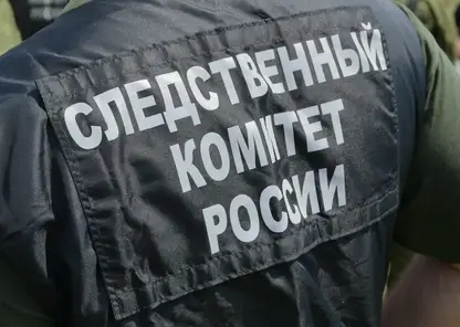 Ребенок заразился опасной инфекцией во время лечения красноярской в больнице