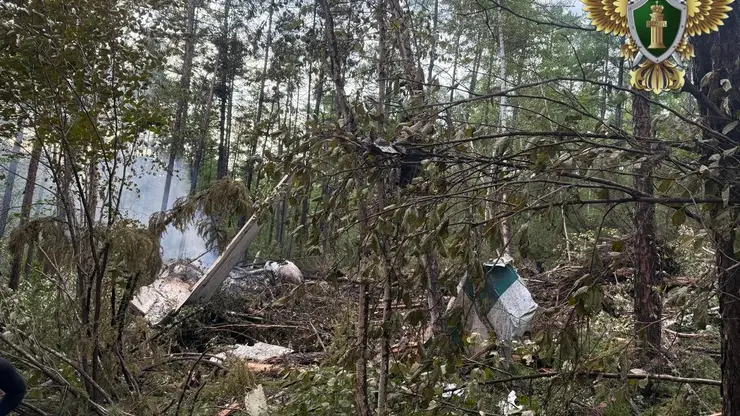 Житель Красноярска погиб в авиакатастрофе в Амурской области