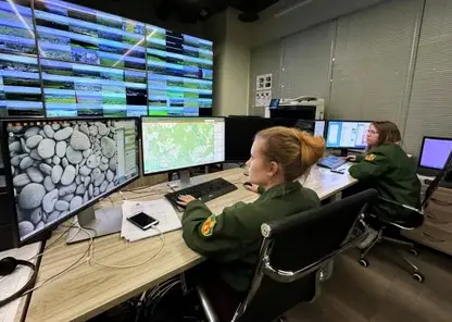 Интеллектуальное распознавание пожаров внедрили в Новосибирской области