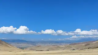 Археологи «Большого Алтая» впервые начнут раскопки в Кыргызстане