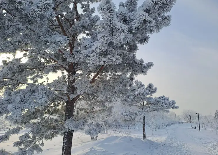 До -30 прогнозируют синоптики в Красноярске 23 января