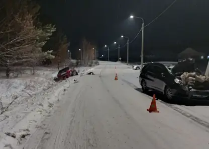 В Иркутской области водитель сбил троих пешеходов и скрылся с места