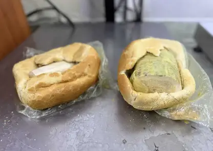 Турист пытался вывезти из Забайкалья в Китай спрятанные в хлебе бивни моржа