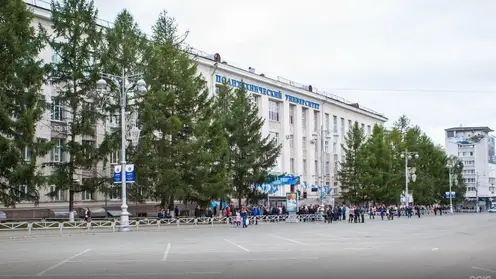 Ученые нашли способ превращать кору деревьев в удобрение и сорбент за один этап