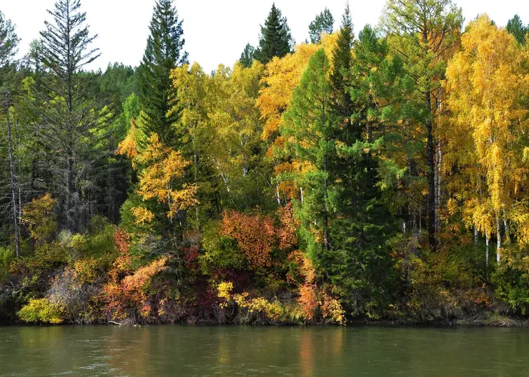 Руководителя нацпарка в Бурятии задержали по делу о злоупотреблении полномочиями
