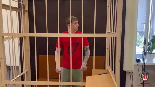 Серия дерзких краж с ущербом 7 млн рублей: главарь банды «домушников» получил суровый приговор в Ачинске