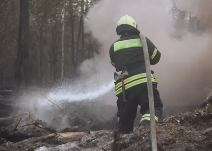 Особый противопожарный режим отменили в Томской области