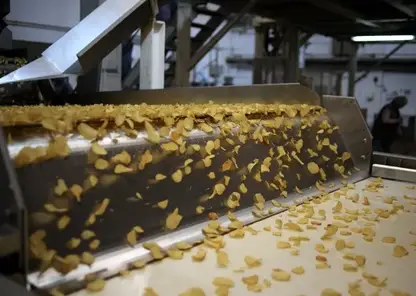 Новосибирские ученые создали полезные для здоровья чипсы