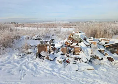 Опасные батареи вывезли в иркутскую «Птичью гавань»