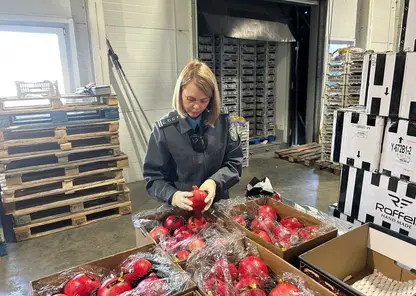 Партию зараженных паразитами гранатов едва не ввезли в Красноярск