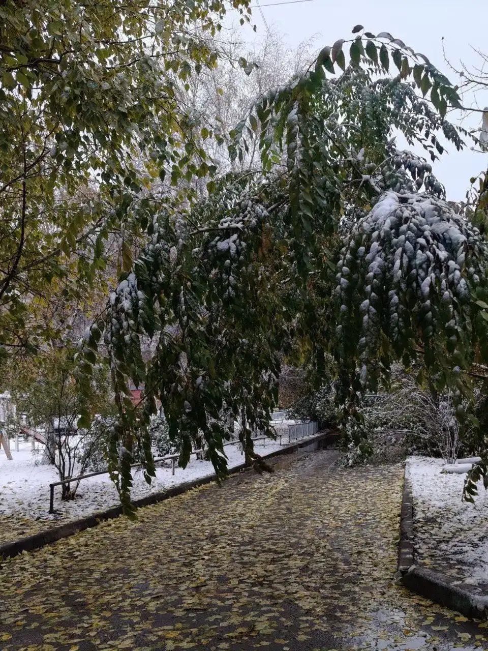 Фото: #кобзевнасвязи / Telegram