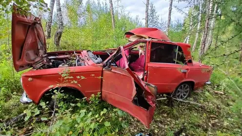 19-летний водитель сбил лошадь в Шарыповском районе. Человек и животное погибли