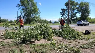 Около 2,5 тысяч человек остаются без света в Иркутской области после ливня с грозой Около 2,5 тысяч человек остаются без света в Иркутской области после ливня с грозой