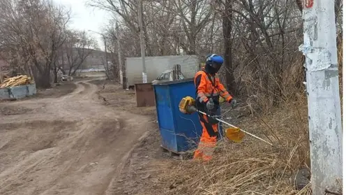 Мэр Красноярска Владислав Логинов попросил горожан не жечь сухую траву