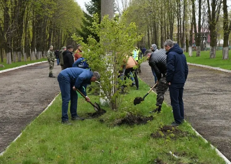 В парке ЛНР появилась аллея из Сибири