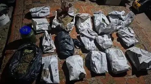 Почти полтора кило марихуаны изъяли полицейские в Минусинском округе Красноярского края