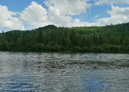 на Красноярском водохранилище пройдет заплыв ко Дню российского флага 