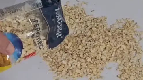 Красноярский эколог нашёл жуков в пачке геркулеса