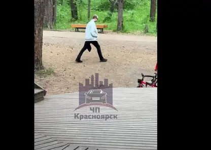 В Красноярске в «Гремячей гриве» неизвестный приставал к женщинам и лизал им руки