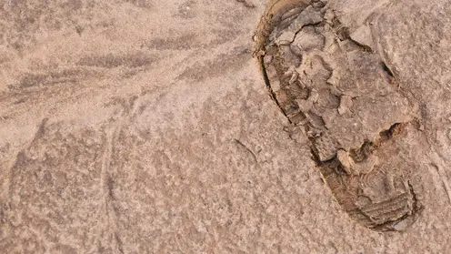 Красноярские археологи рассказали о малоизвестной коллекции редких ножей