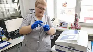 В Красноярске нашли свиную ДНК в говяжьих полуфабрикатах