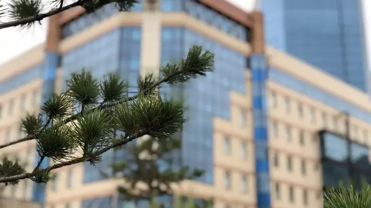 Министерство экологии Красноярского края требует взыскать 15,5 млн рублей за загрязнение почвы в Канске