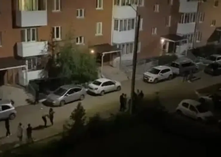 В Улан-Удэ живодёрки выбросили собаку с третьего этажа, а после устроили ночной дебош во дворе дома