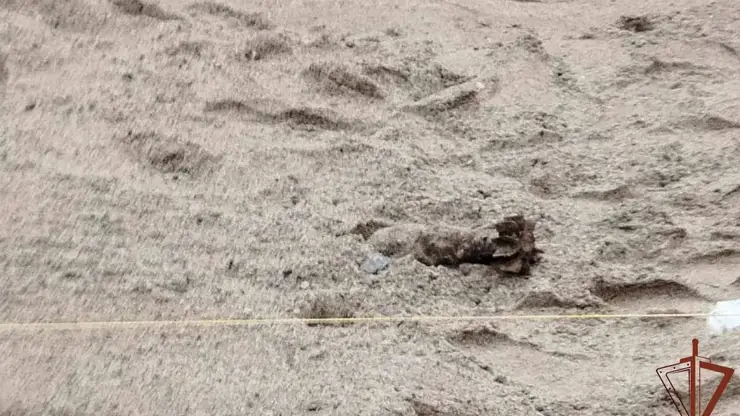 Боеприпас времен Великой Отечественной войны обнаружили и обезвредили в Новосибирске