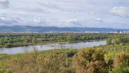 Холод и дождь. Погода в Красноярске на 11 сентября