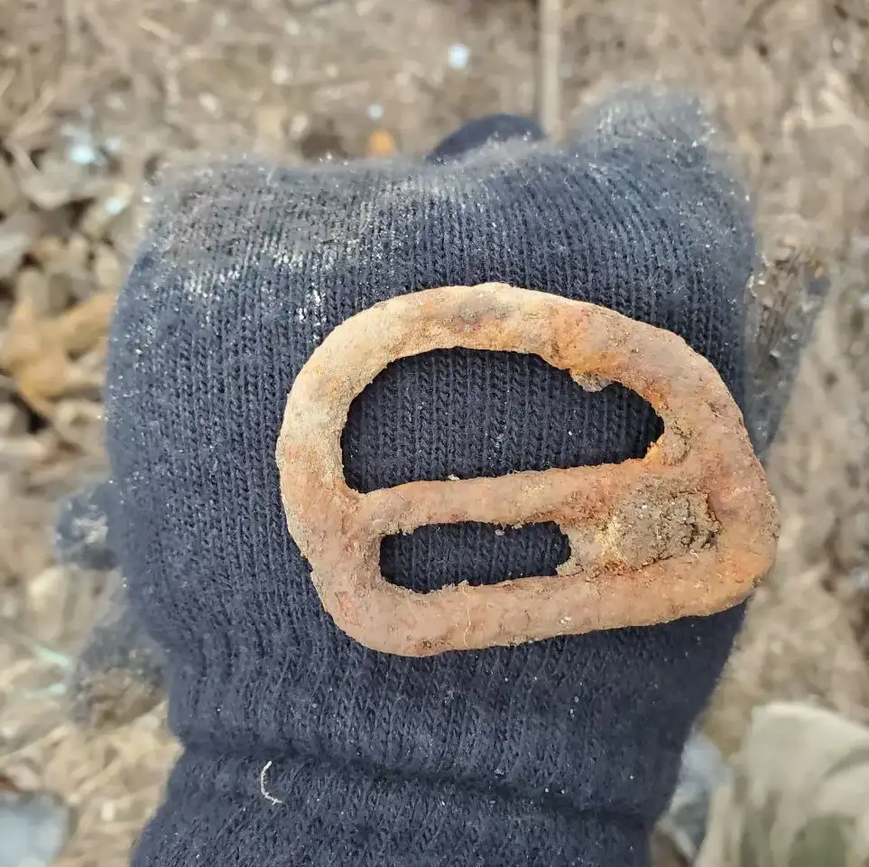 Фото: АвиаПоиск / Telegram