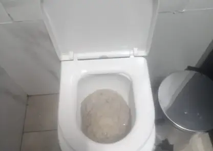 Юный вандал с бумагой атакует бесплатные туалеты в Красноярске