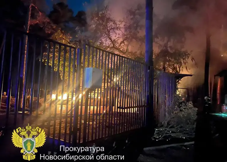 Красноярский «Роев ручей» предложил помощь новосибирскому зоопарку после пожара