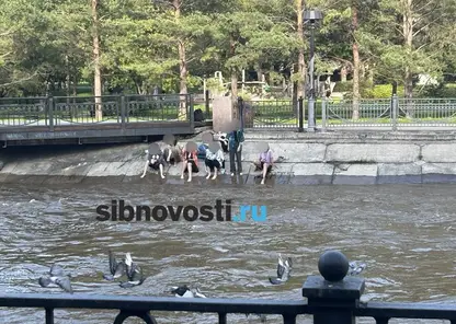 В Красноярске девочки-подростки устроили смертельно опасное развлечение на реке