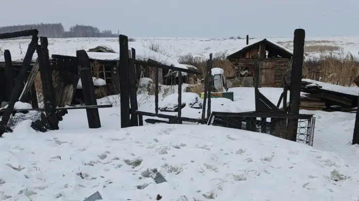 Женщина в Красноярском крае фиктивно зарегистрировала мигрантов в сгоревшем доме