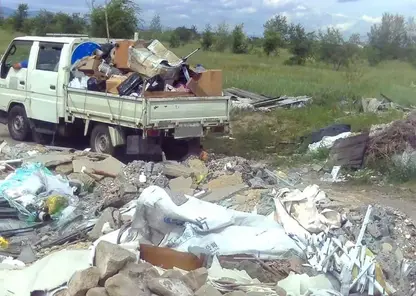 Фотоловушка в пригороде Читы зафиксировала 21 случай незаконного сброса мусора