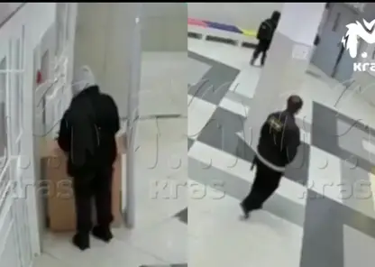 В сети появилось видео, как поджигательница пронесла горючее в школу Покровки