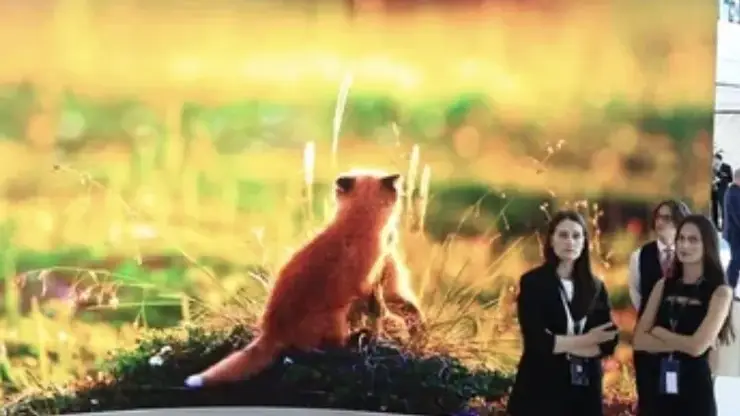 ВТБ и Фонд защитников природы реализуют проекты в Красноярском крае, Бурятии и Хакасии и других регионах