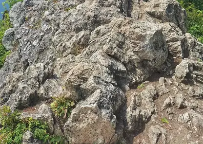 Тысячи человек возьмутся за руки в Забайкалье ради рекорда России