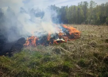 В Красноярском крае за выходные потушили четыре лесных пожара