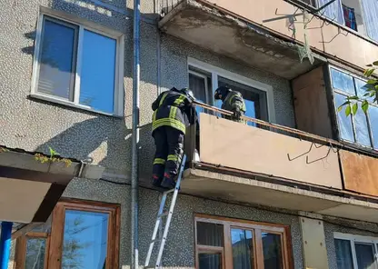 Минусинские спасатели за 12 минут вызволили застрявшего на балконе кота