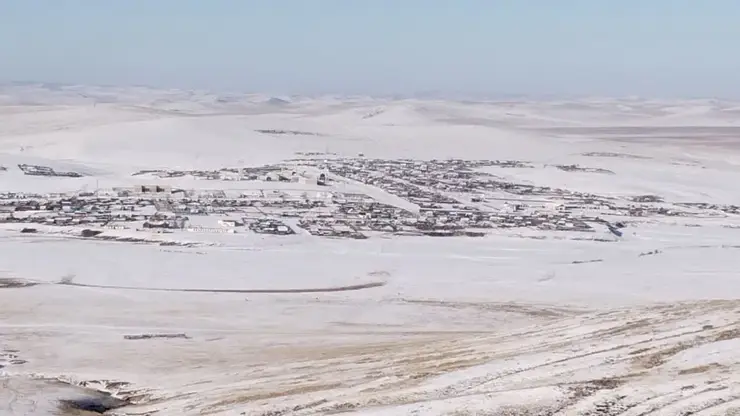 В Забайкалье введен режим ЧС из-за вспышки пастереллёза у скота