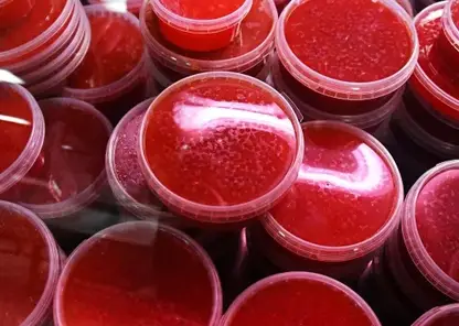 83 килограммов красной игры изъяли у перевозчиков в аэропорту Елизово на Камчатке за неделю