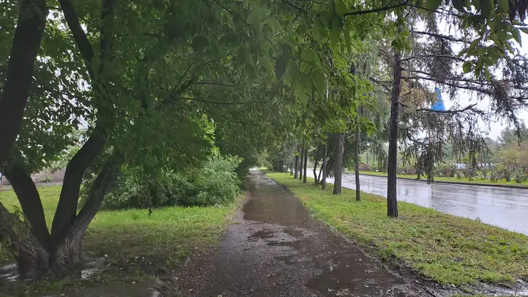 Новая рабочая неделя в Красноярске начнется с дождей