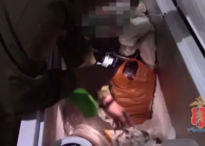 В Красноярском крае пенсионер наловил краснокнижной рыбы на полмиллиона рублей