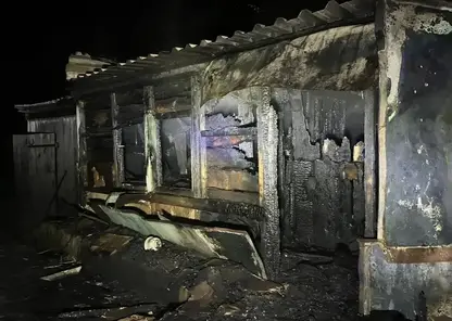 Восьмилетняя девочка погибла в ночном пожаре после празднования дня рождения в Хакасии