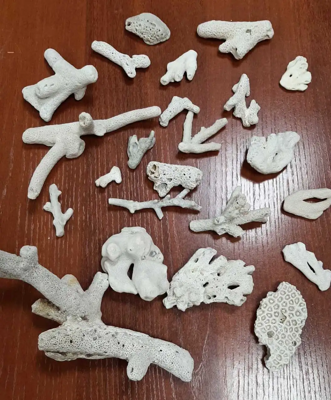 Фото: Алтайская таможня