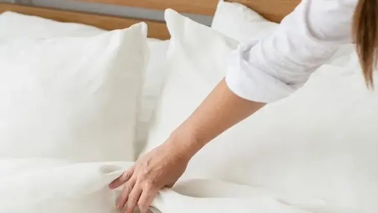 Красноярцам рассказали о профилактике появления пылевых клещей