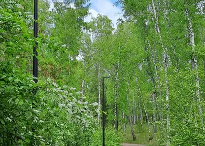 Красноярцев приглашают на бесплатные экскурсии в День молодежи